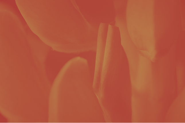 Spiber to join “Fashion footprint: Unraveling the environmental impact of textiles and acting against it” panel discussion at Expo 2025 Osaka, Kansai