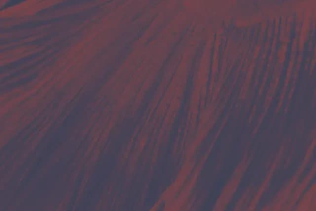 中国で開催されるIntertextile Shanghai Apparel Fabrics 2025に参加します