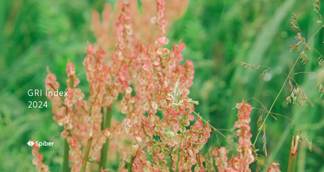 GRI Index 2024